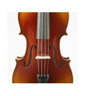 Viola F. Müller Soloist