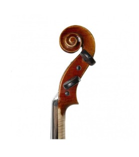 Viola F. Müller Soloist