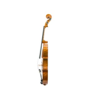 Viola Heritage HA