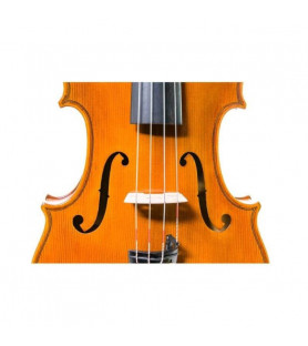 Viola Heritage HA