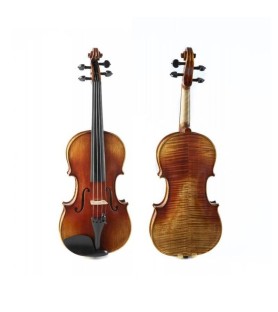 Violí F. Müller Soloist