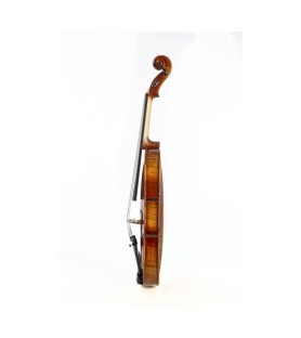 Violí F. Müller Soloist