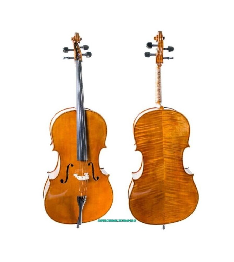 Violonchelo Heritage Basic HB