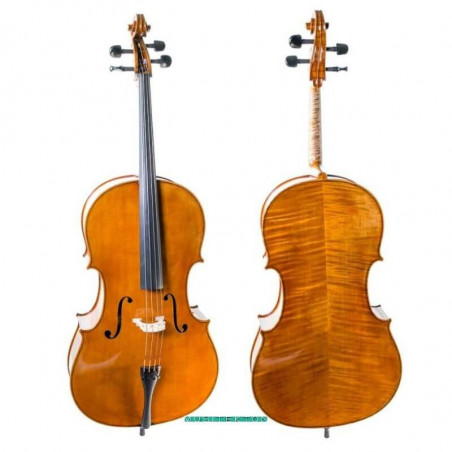 Violonchelo Heritage Basic HB