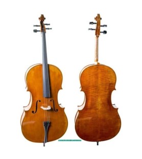Violonchelo Antonio Wang Brandenburg
