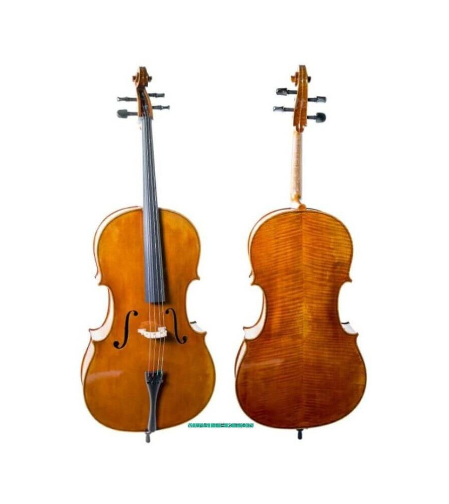 Violoncel Antonio Wang Brandenburg