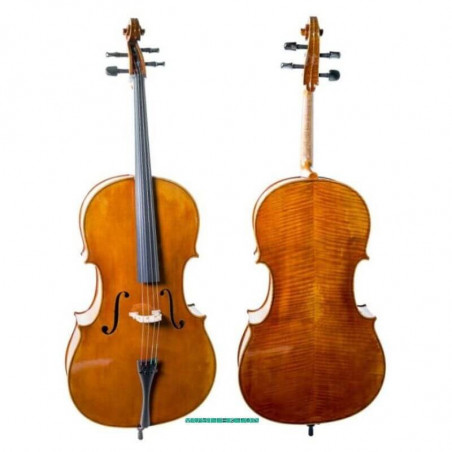 Violoncel Antonio Wang Brandenburg