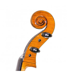 Violonchelo Antonio Wang Viena