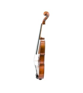 Viola Gliga Gems I