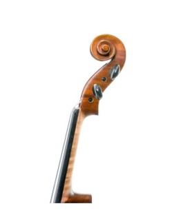 Viola Gliga Gems I