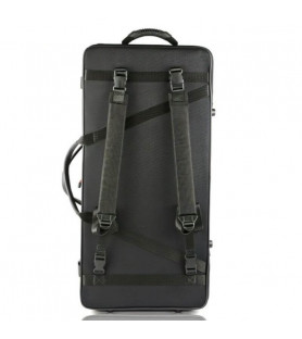 Violin and Viola Case Bam Classic 2006S