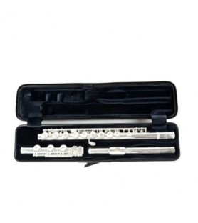 Flute Case Bam 4009XL Hightech