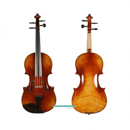Viola Musitekton Melos