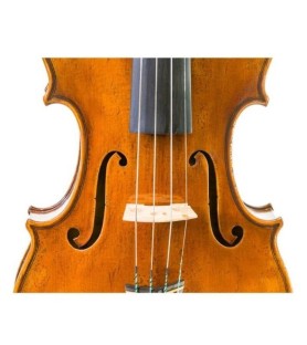 Violín Antonio Wang Venezia