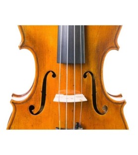 Violín Antonio Wang Verona