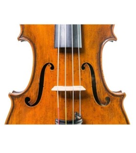 Violín Antonio Wang Taormina