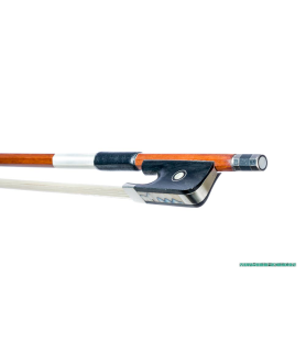 Arc Viola Corina YAC-03