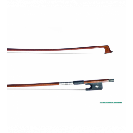 Arc Viola Corina YAC-20