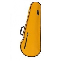 Case accessories