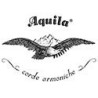 Aquila
